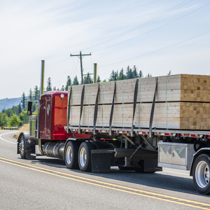 michigan weight restrictions